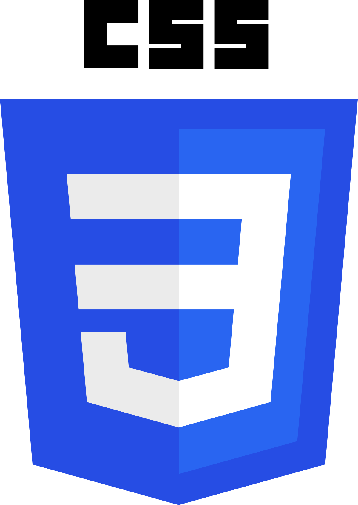/assets/CSS3_logo_and_wordmark.svg-4dab2dc8.png